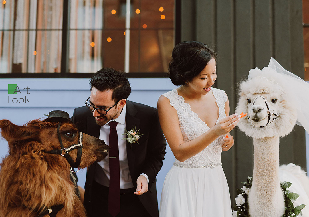 How to Photograph a Bride Properly?